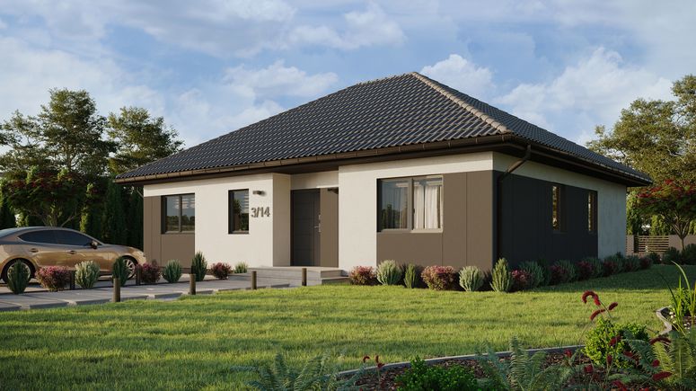 ERDOL 104 - Version Links (Wohnzimmer auf der linken Seite) - Styropor, Netz, Kleber - Anthrazit - Ohne